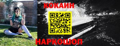соль ск Новодвинск