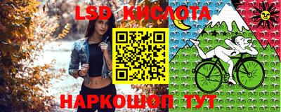 соль ск Новодвинск