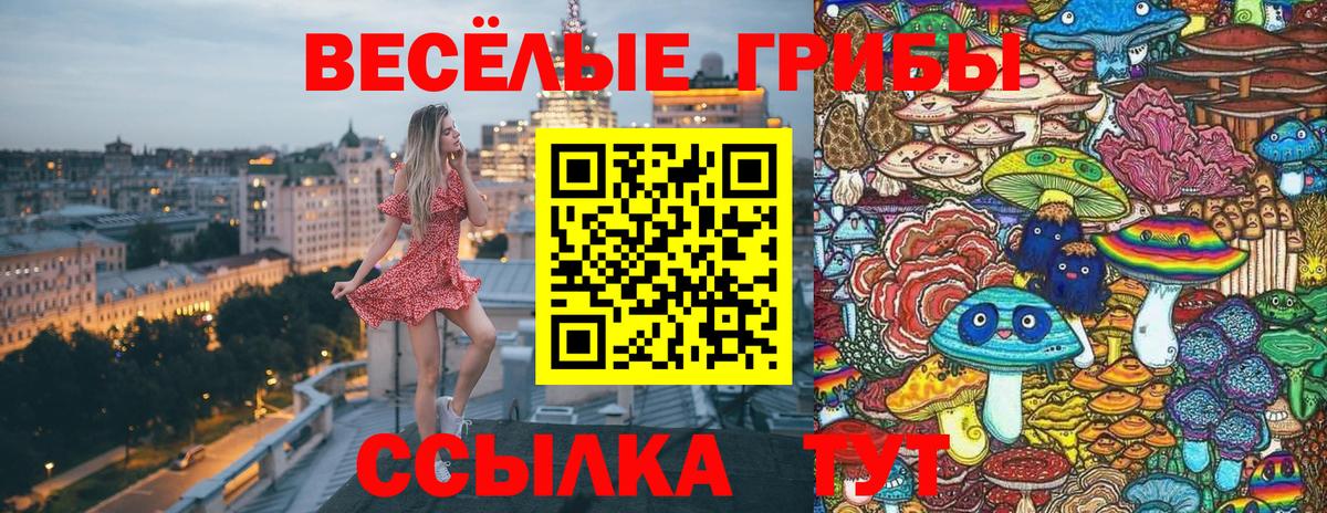 как найти закладки  Псилоцибиновые грибы Cubensis  Вход с VPN  Псилоцибиновые грибы Magic Shrooms  Урюпинск 